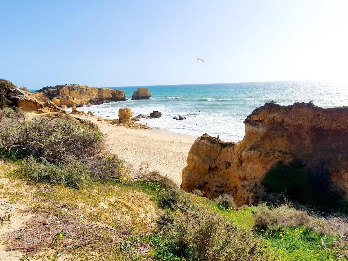 Canameira Beach - Albufeiraヴィラ エクステリア 写真